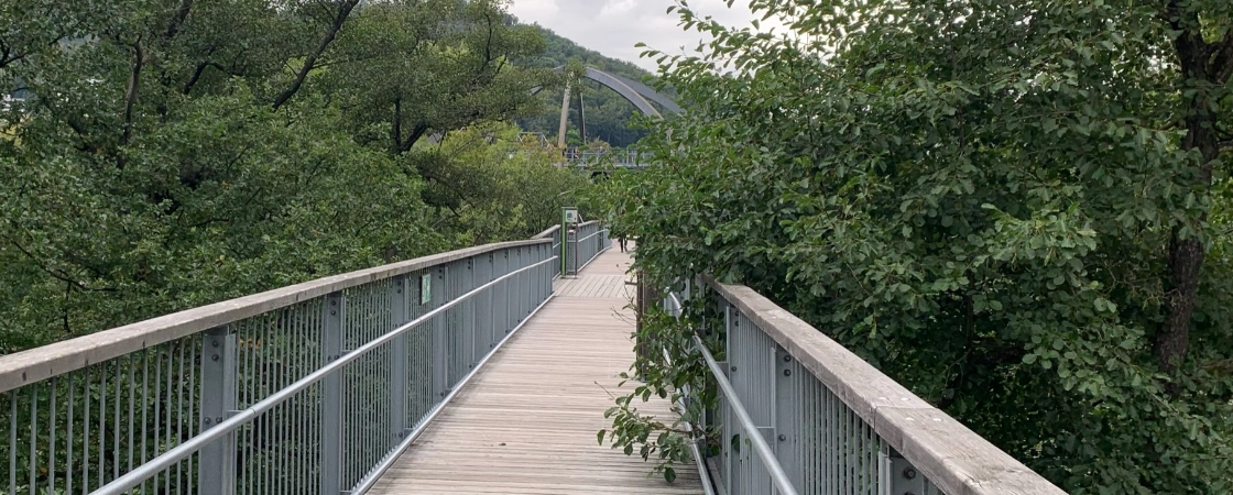 Baumwipfelpfad - Bad Harzburg